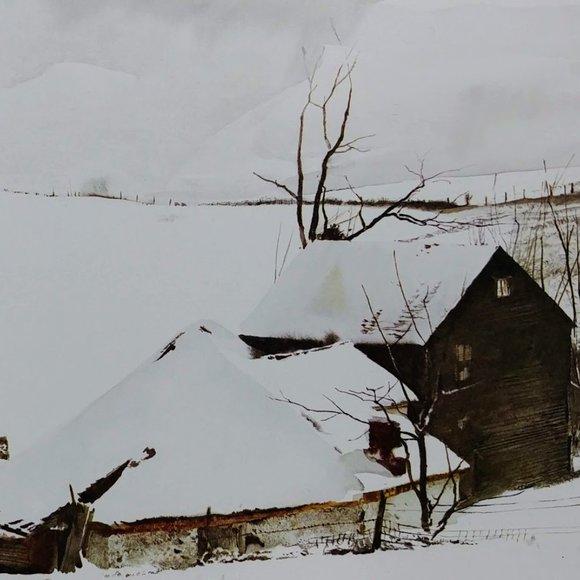 Andrew Wyeth Hardcover, 1968, Richard Meryman (Author), 2nd printing - Picture 13 of 16